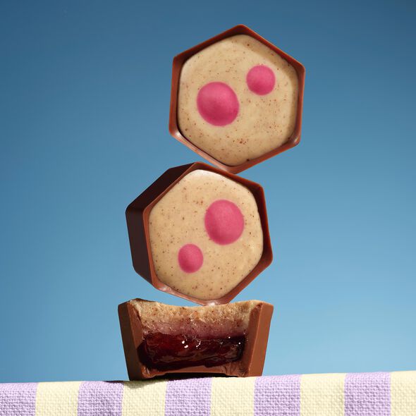 Cherry Coconut Slice Selector &ndash; Limited Edition , , hi-res