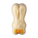 Oranges & Lemons City Bunny