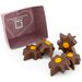 Christmas Chocolate Supernovas &ndash; Clementine Caramel, , hi-res