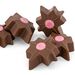 Christmas Chocolate Supernovas &ndash; Pink Champagne, , hi-res