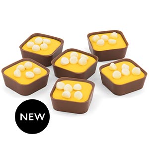 Passion Fruit Cheesecake Selector