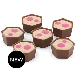 Cherry Coconut Slice Selector
