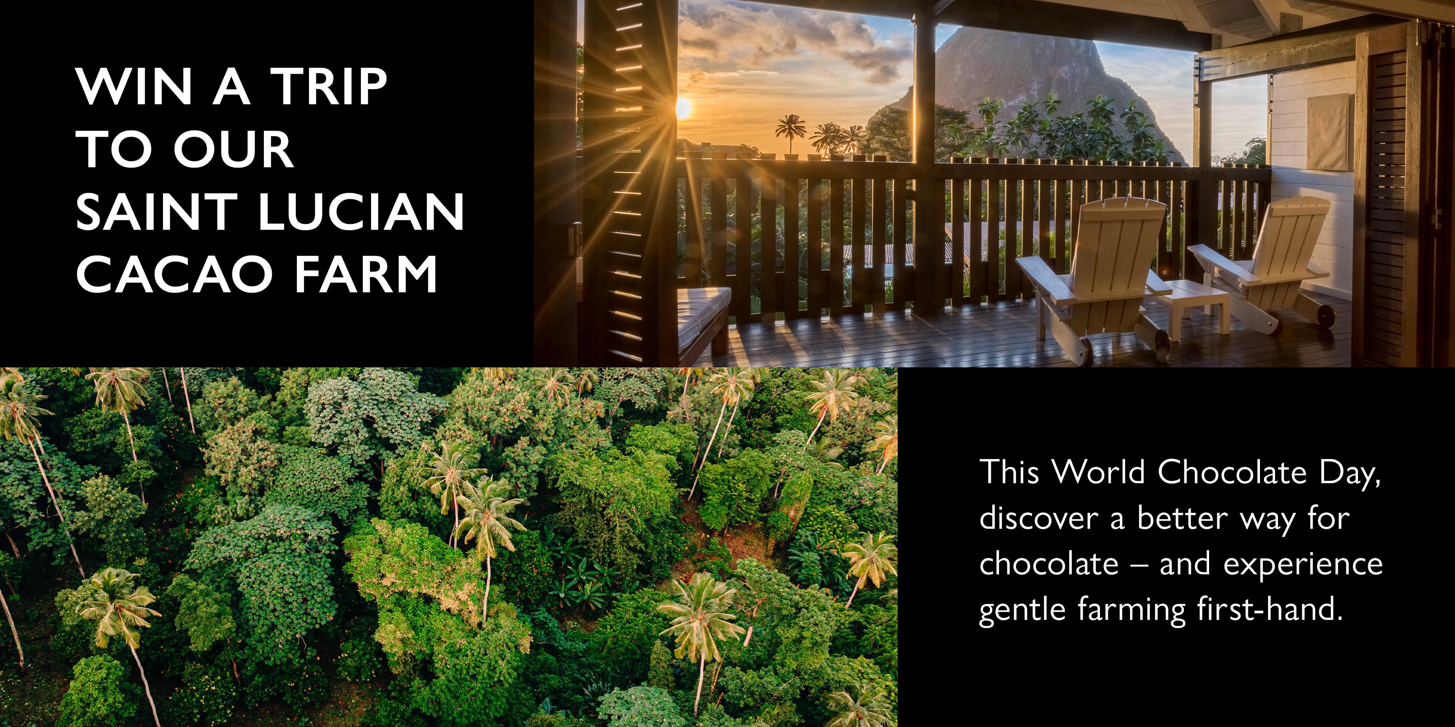 Win a trip to our Saint Lucian cacao farm