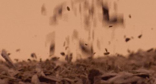 hot chocolate refill subscription